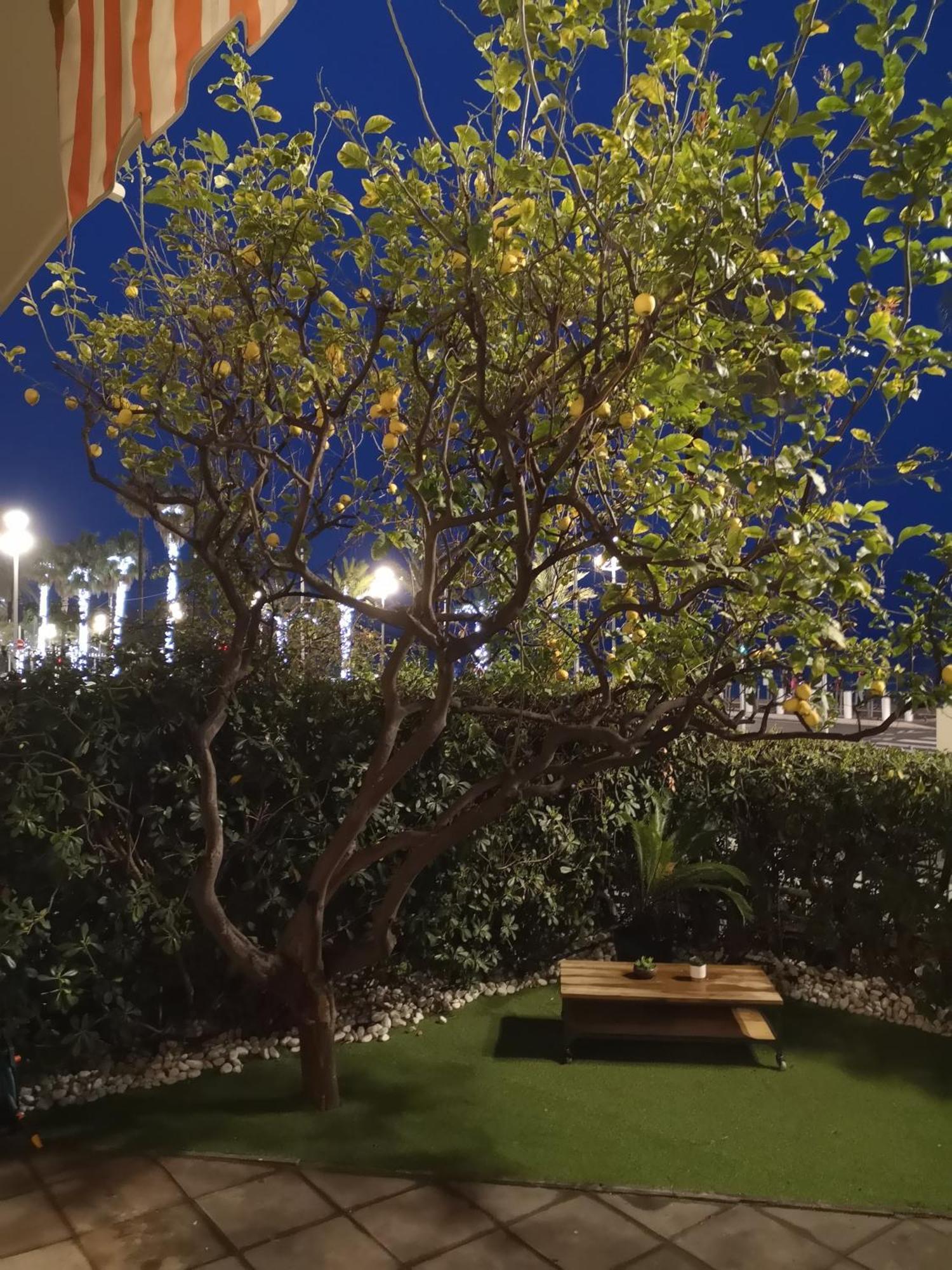 Garden Atlantide Promenade Apartment Nice Exterior photo